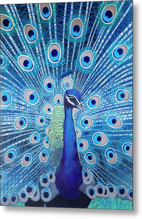 Blue Peacock - Metal Print