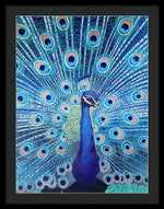 Blue Peacock - Framed Print