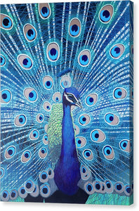 Blue Peacock - Canvas Print