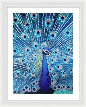 Blue Peacock - Framed Print