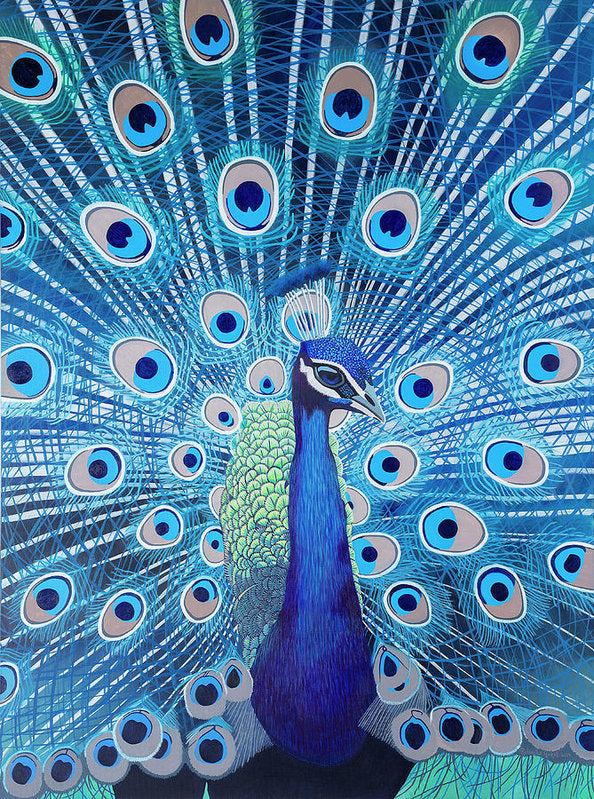 Blue Peacock - Art Print